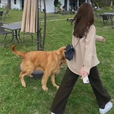 后裔